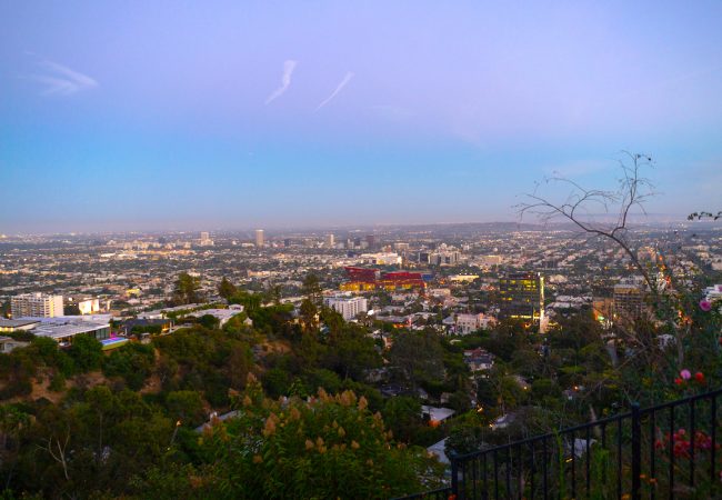 Clipped wings: How the Bird Streets celebrity enclave fell from its lofty perch